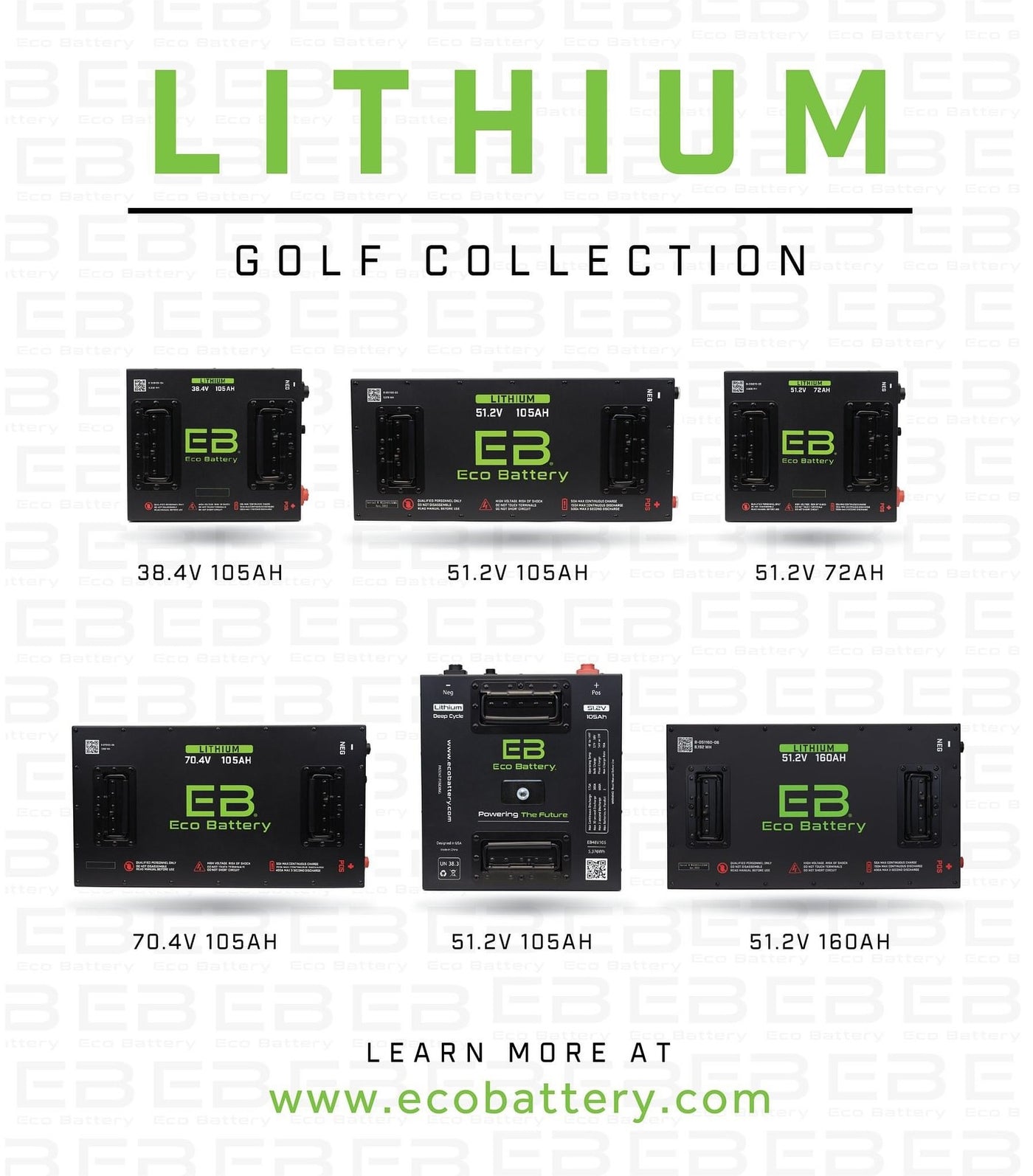 All of the lithium options sold at ecobattery