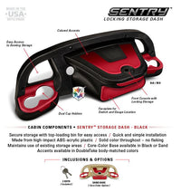 DoubleTake Sentry Storage Dash